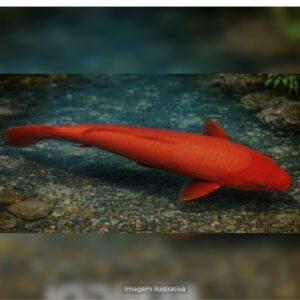CARPA BENIGOI 15 CM