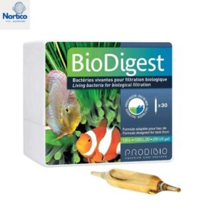 Ampola BioDigest