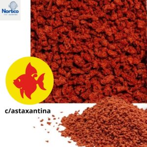 ração astaxantina Granulos ( Fracionada)