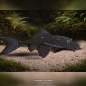 CASCUDO HISTRIX L-155 20 A 25 CM