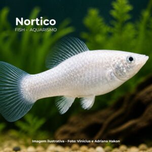 MOLINESIA PRATA MTZ ph-7.2                     (A)