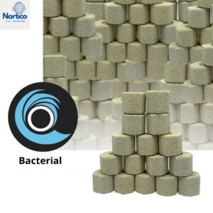 Nano rings Bacterial