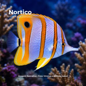 BORBOLETA COPPER BAND MD                       (E)